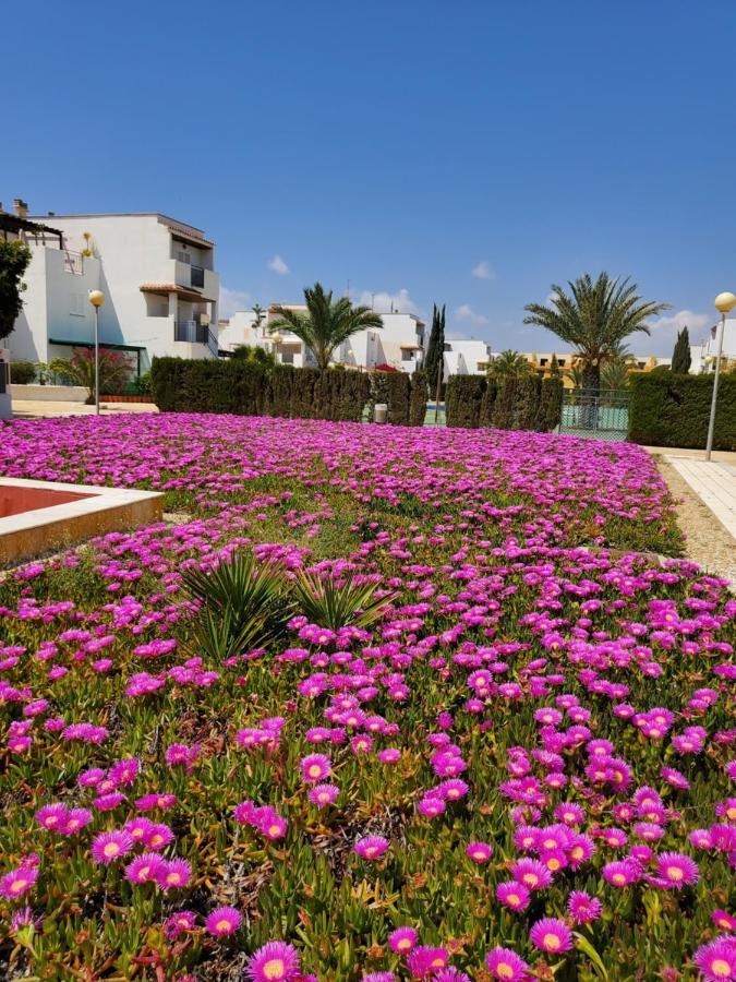 Casa Baja Naturista Con Patio En Primera Linea De Playa Con Piscina Comunitaria! Vera Luaran gambar